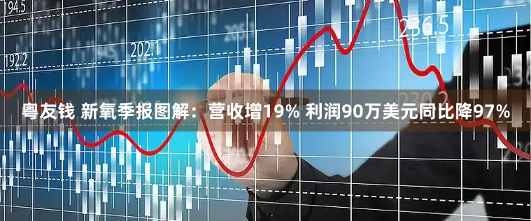 粤友钱 新氧季报图解：营收增19% 利润90万美元同比降97%
