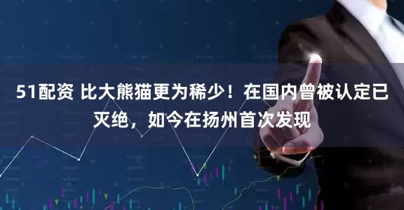 51配资 比大熊猫更为稀少！在国内曾被认定已灭绝，如今在扬州首次发现