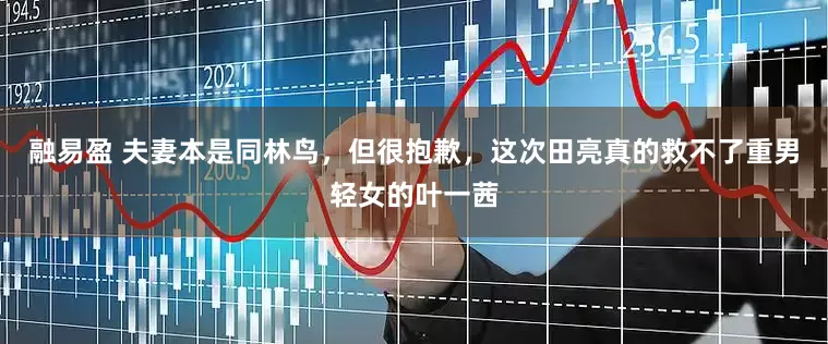 融易盈 夫妻本是同林鸟,但很抱歉,这次田亮真的救不了重男轻女的叶一茜